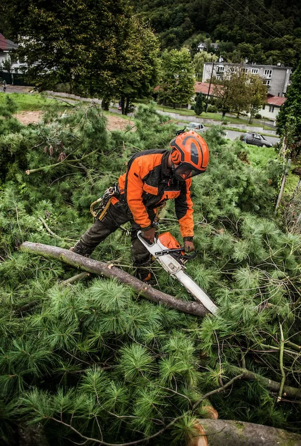 Emergency Storm Work